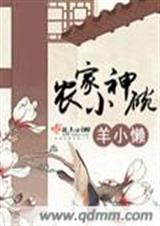 农家小神碗(完结)