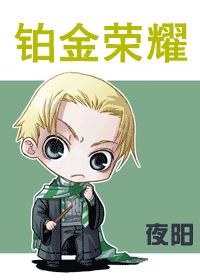 HP 铂金荣耀 完整