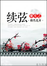 重生之续弦txt下载