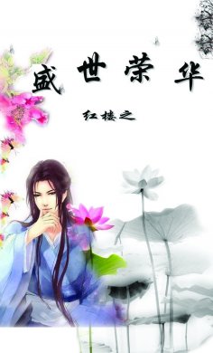 红楼之盛世荣华