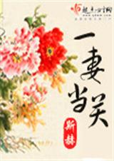 一妻当关(完结)