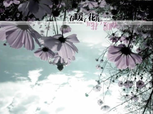 那年桑夏、学会独自去看花开txt下载