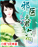 邪医夫君五六个
