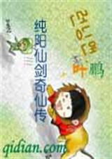 纯阳仙剑奇侠传