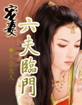 宠妻:六夫临门穿越之限量版娘子txt下载