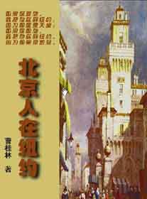 北京人在纽约txt下载