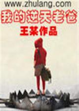 我的逆天老爸txt下载