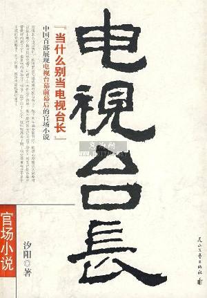 电视台长 电视台长