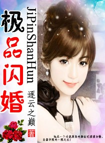 极品闪婚txt下载