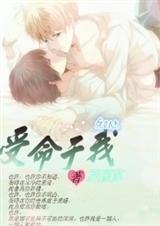 ��������txt����