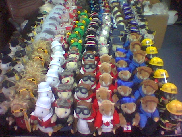 资深宅女迷思回忆录之美梦仓鼠的幻灭记