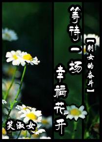 剩女的奋斗:谁主幸福