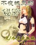 不夜城里的秘密txt下载