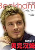 我的儿子贝克汉姆(节选)txt下载