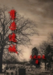 ��ɱ�Գ�txt����