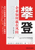攀登:企业如何赢在风险txt下载