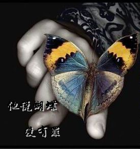 他说蝴蝶没有罪