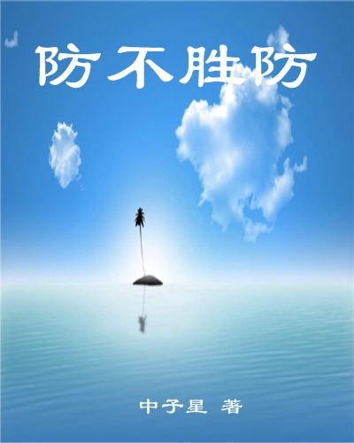 IT浪子鏖战商场:防不胜防txt下载