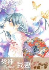 (死神)我妻txt下载