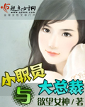 小职员与大总裁txt下载