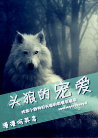 头狼的宠爱txt下载