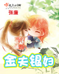 金夫银妇txt下载