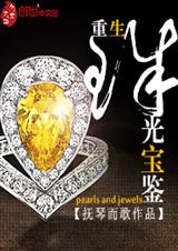 重生之珠光宝鉴