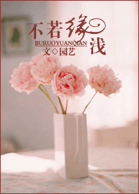 不若缘浅(甜文)txt下载