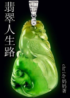 重生之翡翠人生路txt下载