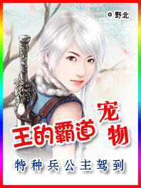 特种兵公主:王的霸道狐宠