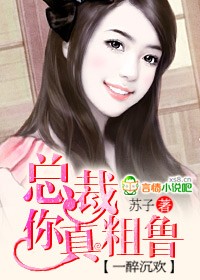 一醉沉欢:总裁,你真粗鲁