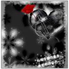 ִ����ң(Ů��)