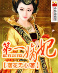 第一嫡妃txt下载