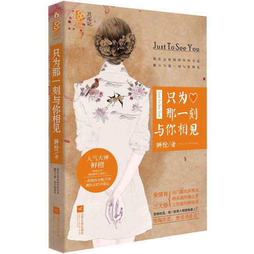 只为那一刻与你相见txt下载