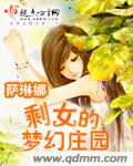 剩女的梦幻庄园txt下载