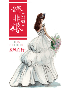 婚非婚(军婚)txt下载