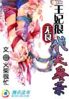 王妃很无良:代夫娶亲txt下载