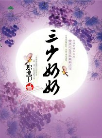 三少奶奶txt下载