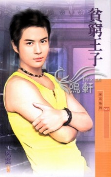 贫穷王子txt下载