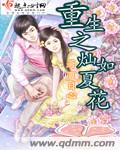 重生之灿如夏花txt下载