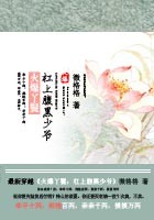 火爆丫鬟:杠上腹黑少爷txt下载