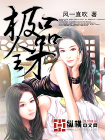 极品全才txt下载