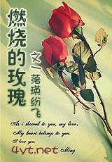 燃烧的玫瑰txt下载