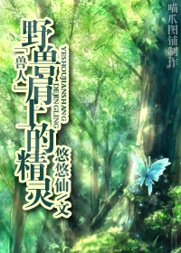 野兽肩上的精灵txt下载