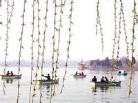 重生之春风沉醉txt下载