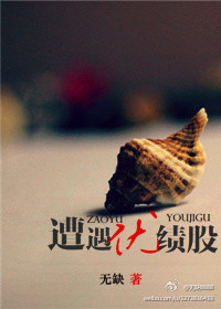 遭遇优绩股txt下载