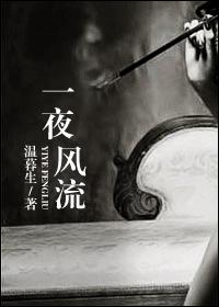 一夜风流