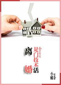 离婚是门技术活txt下载