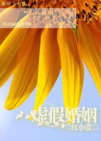 虚假婚姻txt下载