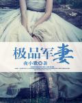 极品军妻
